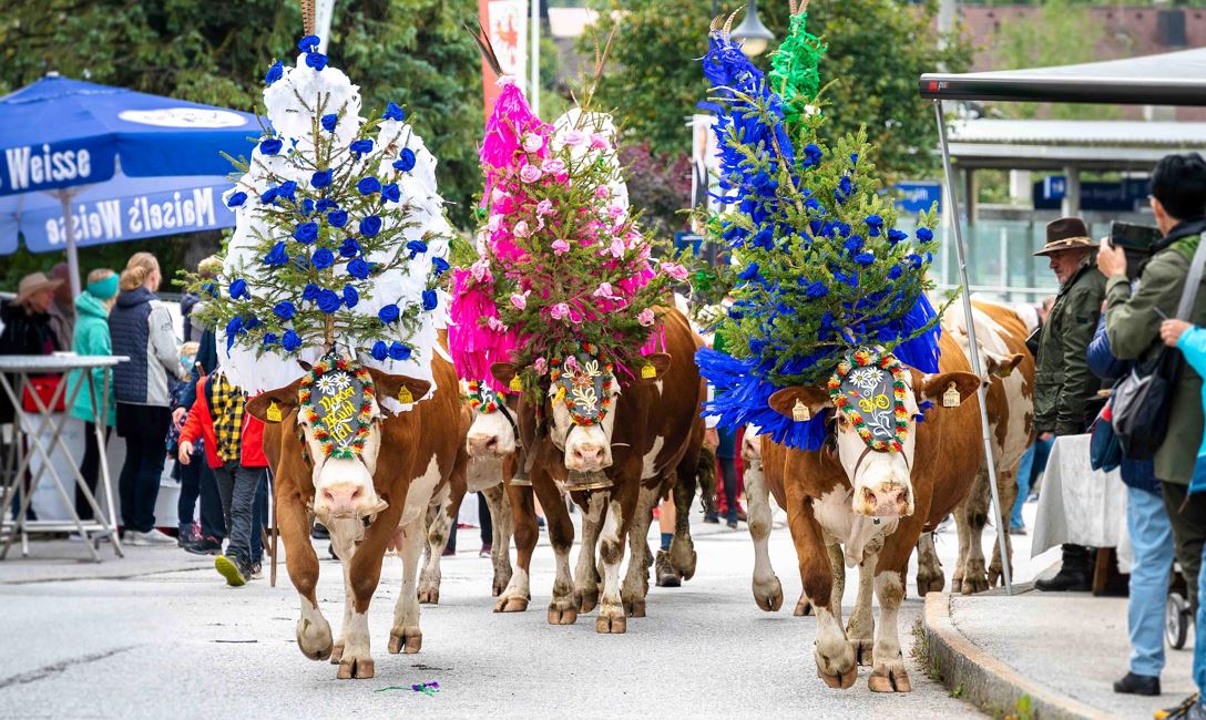 Almabtriebsfest in Hopfgarten und Kelchsau