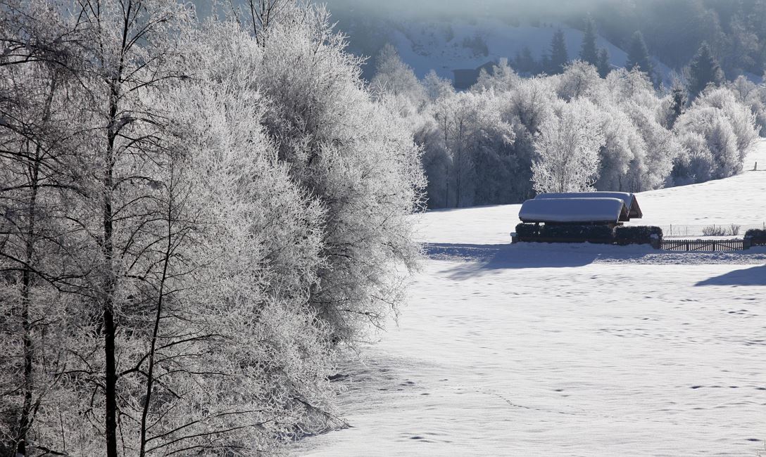 Walderlebnistour @Hannes Dabernig