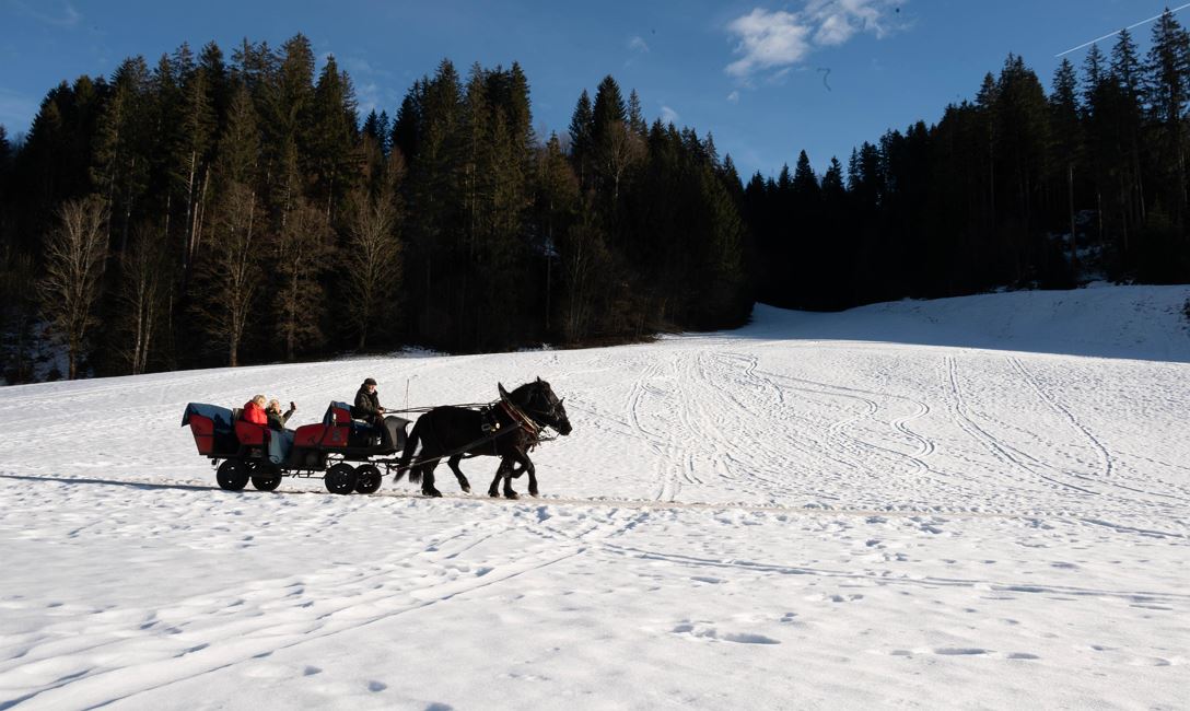 Pferdeschlittenfahrt @Region Hohe Salve Larissa We