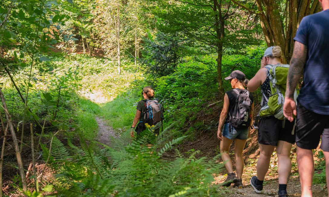 Immunbooster Wald (c)Larissa Weiskopf