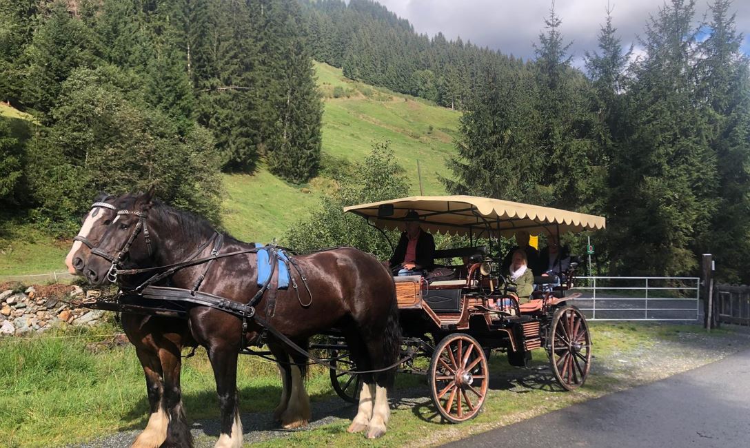 Kutschenfahrt