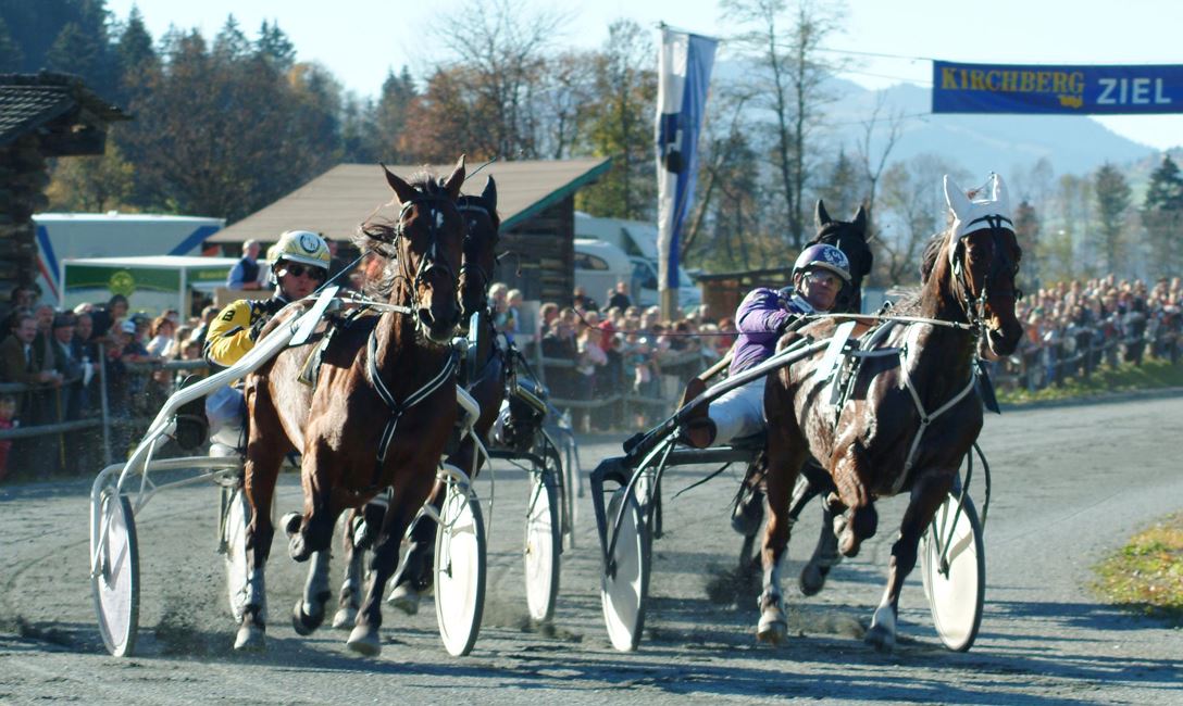 Pferderennen auf der Trabrennbahn in Kirchberg