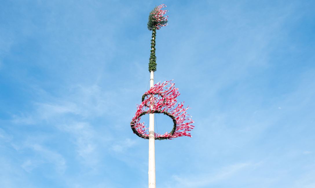 Maibaum @Region Hohe Salve