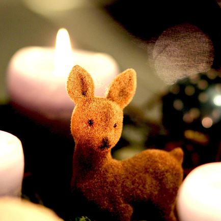 Adventspecial s'Blumenladl