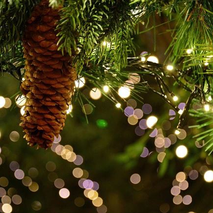 Advent magic on the village square