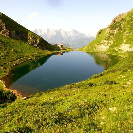 Bergmis bij de Wildseelodersee