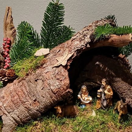 Advent mit Sinn