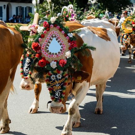 Almfahrt durch Brixen im Thale