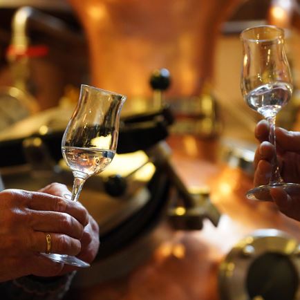 Guided tour of the Erber distillery