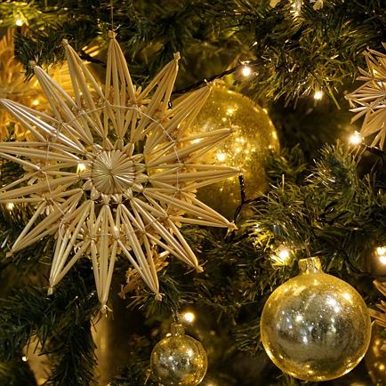 Christmas tree auction Musikkapelle Kelchsau