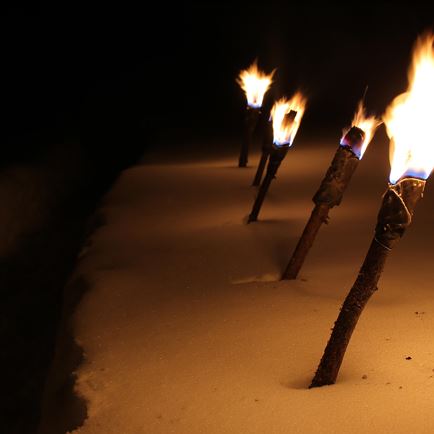 Guided tour with torches 