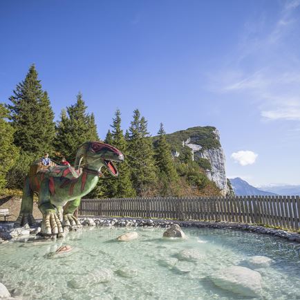 Family and children's programme: Into the gondola - up into prehistoric times