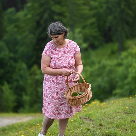 Guided walk 'our herbs' with workshop