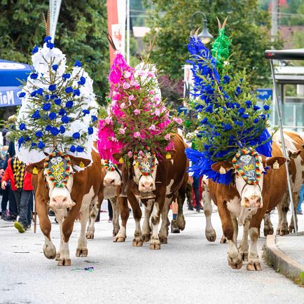 Almabtriebsfest in Hopfgarten und Kelchsau