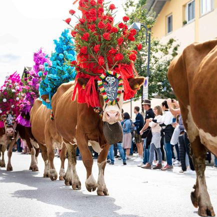 Almabtriebsfest in Hopfgarten en Kelchsau