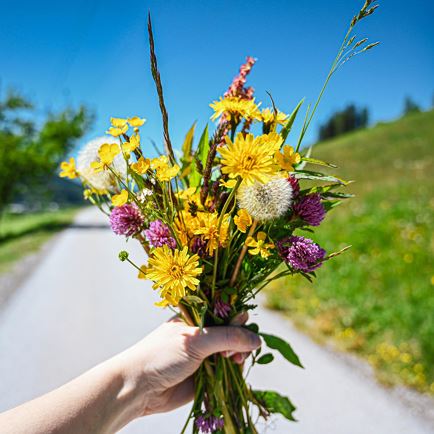 Garten frühlingsfit machen