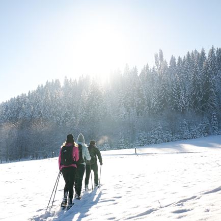 Schneeschuhwanderung in Hopfgarten/Kelchsau