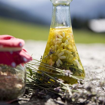 Wild herb walk in Hopfgarten