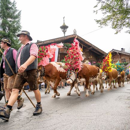 Almabtriebsfest in Kelchsau