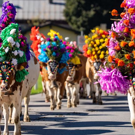 Alpenfestival met koeienrit in Kirchberg