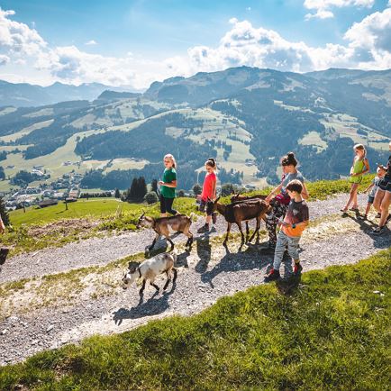 „Goas“-Trekking with puzzle tour