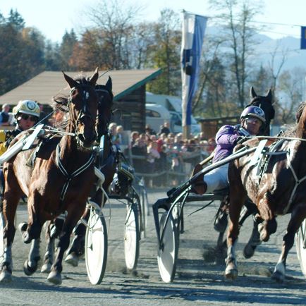 Horse racing in Kirchberg