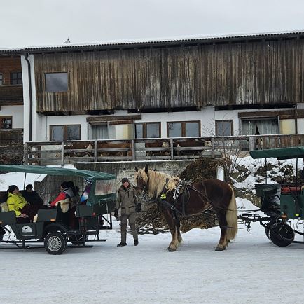 Pferdeschlittenfahrt zum Brigglhof