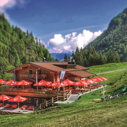 Music on the mountain | Pulvermacher Almhütte