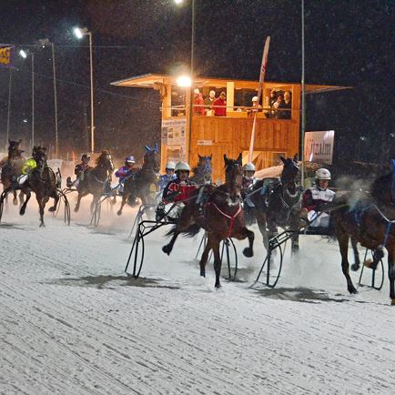 Horse race on snow