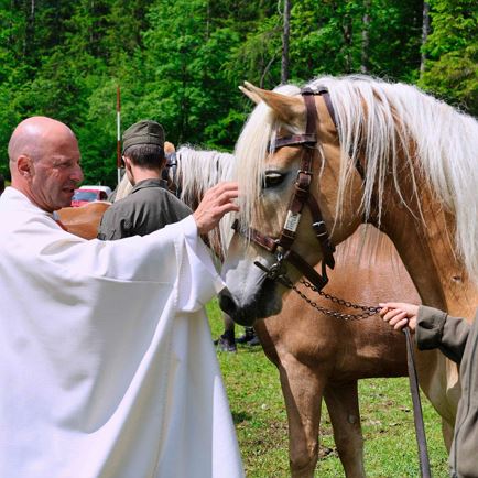 Pferdewallfahrt 2026