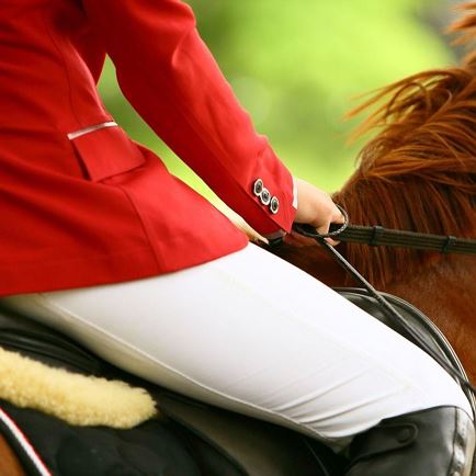 Reitturnier- Dressur