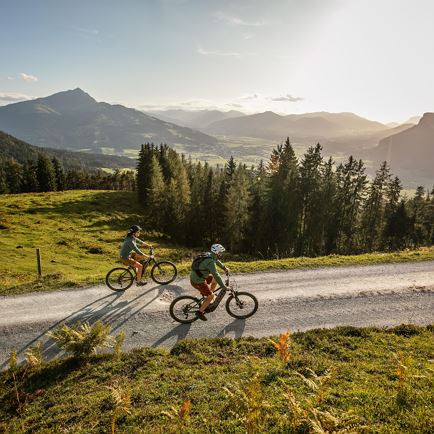 Alps E-Bike Gourmet Tour