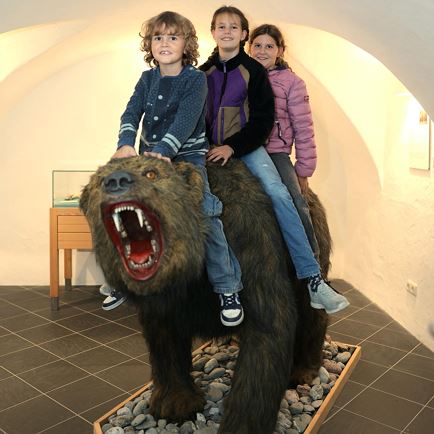 Nachts im Museum - Offener Abend