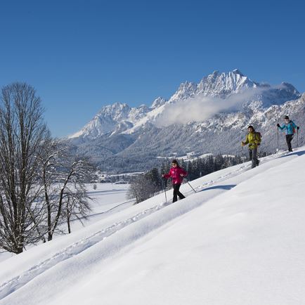 Sneeuwschoenwandeling “Op zoek naar geluk”
