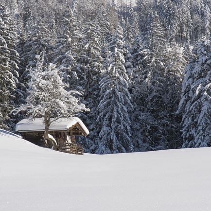 Experience winter magic – guided hike through winter nature