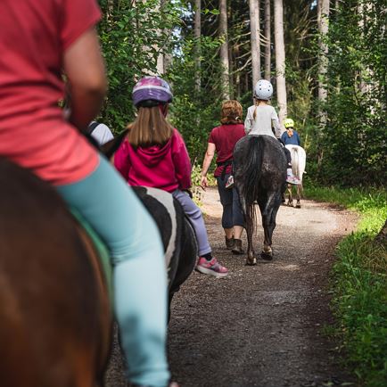 Ponytrekking in Westendorf