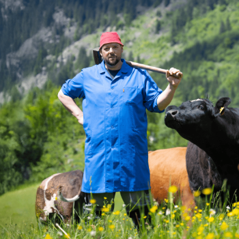 VZ Komma: Petutschnig Hons