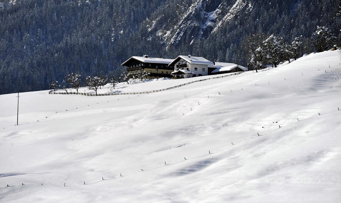 Hof Lettenbichl Winter