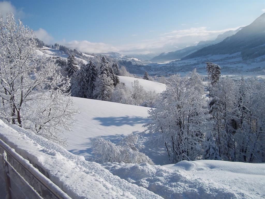 Aussicht auf der Terasse übers Brixental