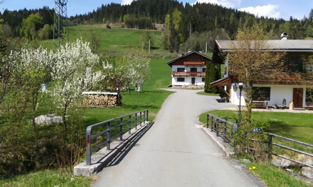 Frühling