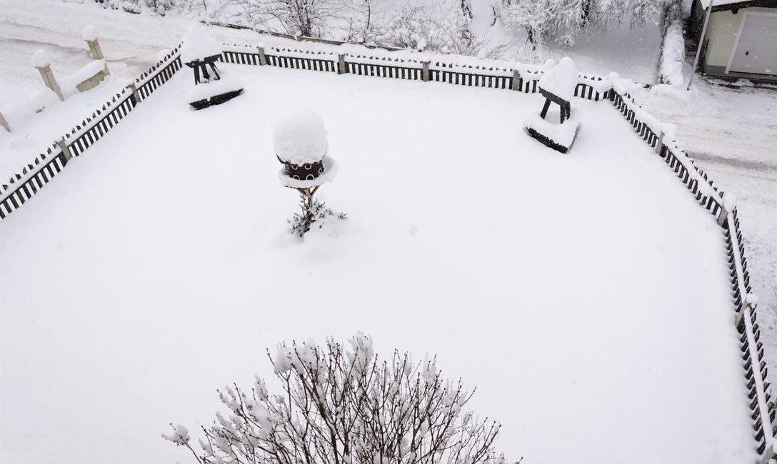 Aussicht vom Balkon in den Garten