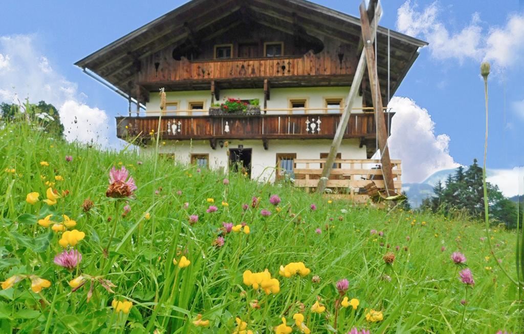 Platzlhof3