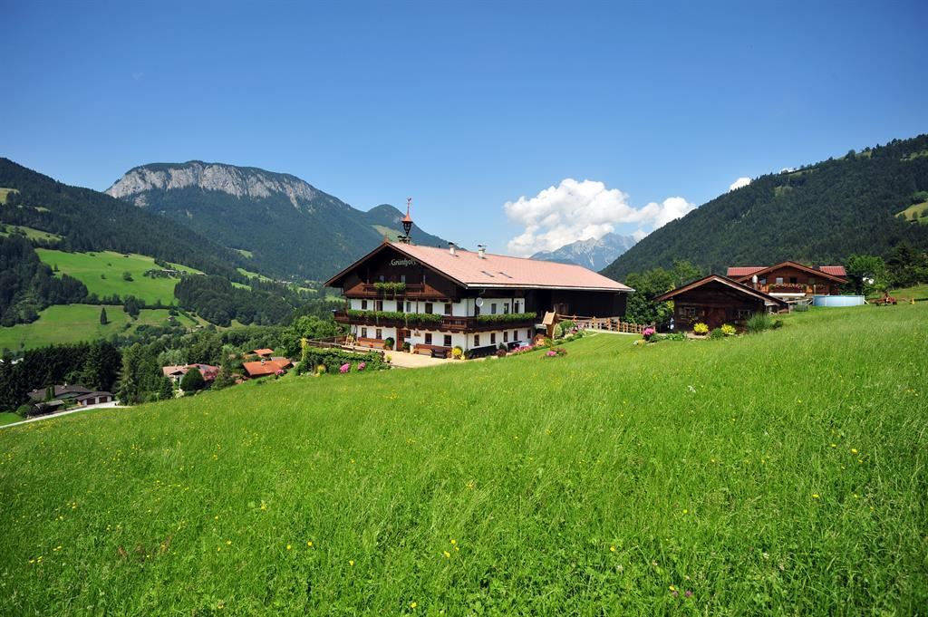 Gruenholz Sommer