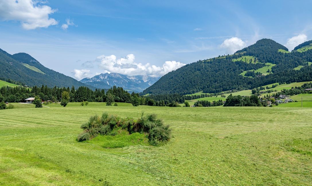 Aussicht 1 (c) Hannes Dabernig