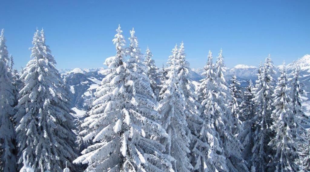 Blattlhof Winter St. Johann in Tirol