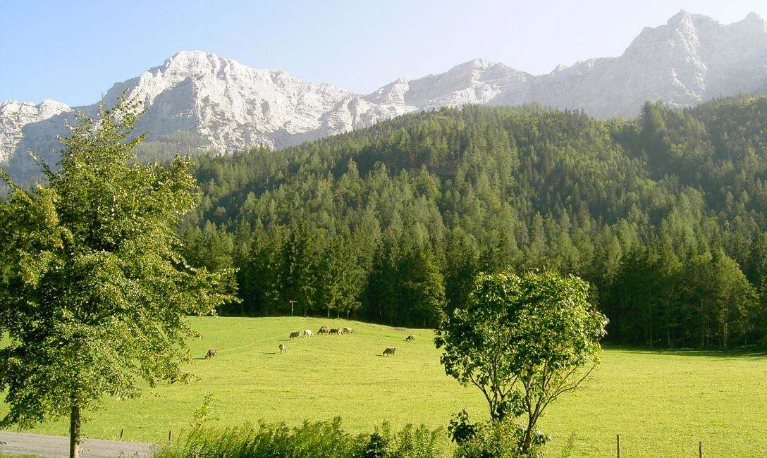 Blick in die Berge