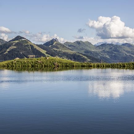 7 Tage Sommer Aktiv Pauschale
