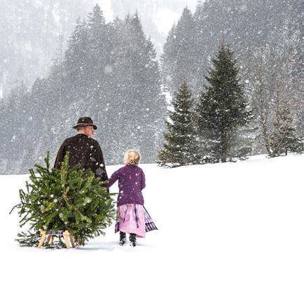 adventZEIT