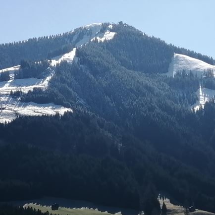 631a4408-b080-4b2b-8e06-3294a5fea691-1_all_8879