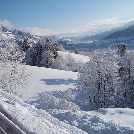 Appartement Riedmann